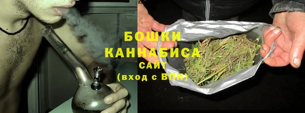 молекула духа Гусиноозёрск