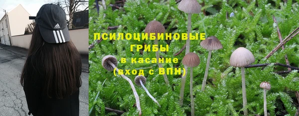 прущие крисы Дмитриев