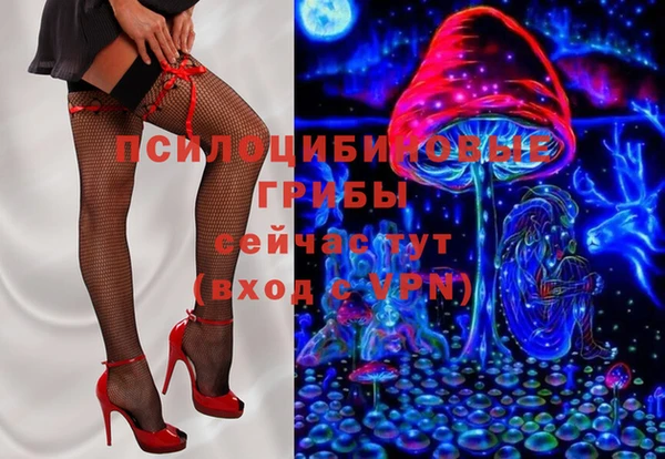 MESCALINE Гусь-Хрустальный